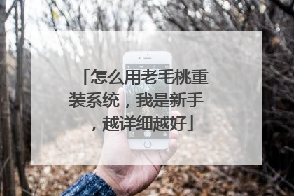 怎么用老毛桃重装系统,我是新手,越详细越好