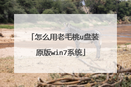怎么用老毛桃u盘装原版win7系统