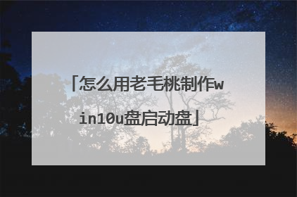 怎么用老毛桃制作win10u盘启动盘