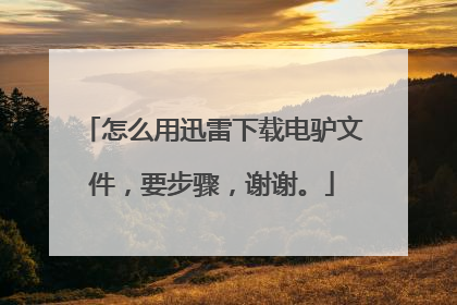 怎么用迅雷下载电驴文件,要步骤,谢谢。