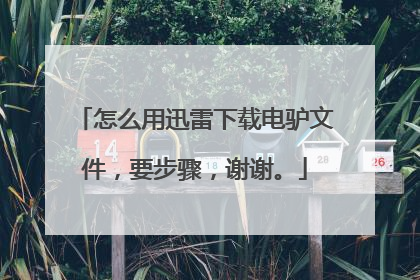 怎么用迅雷下载电驴文件,要步骤,谢谢。