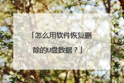 怎么用软件恢复删除的U盘数据?
