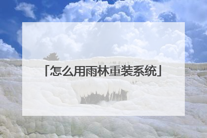怎么用雨林重装系统