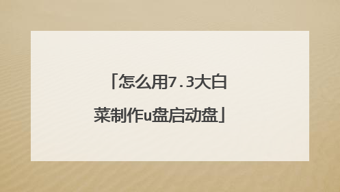 怎么用7.3大白菜制作u盘启动盘