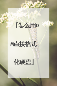 怎么用DM直接格式化硬盘