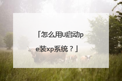 怎么用U启动pe装xp系统？