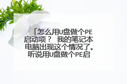 怎么用U盘做个PE启动项？ 我的笔记本电脑出现这个情况了。听说用U盘做个PE启动项管用。请问各