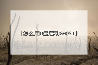 怎么用U盘启动GHOST