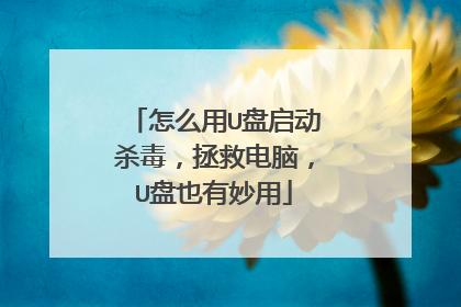怎么用U盘启动杀毒,拯救电脑,U盘也有妙用