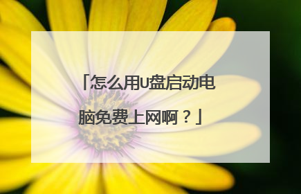 怎么用U盘启动电脑免费上网啊?