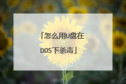 怎么用U盘在DOS下杀毒