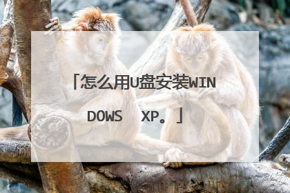怎么用U盘安装WINDOWS  XP。