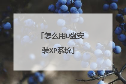 怎么用U盘安装XP系统