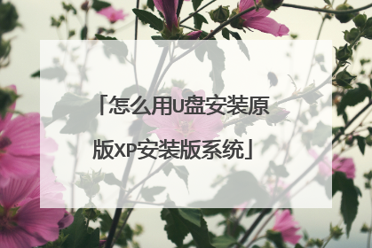 怎么用U盘安装原版XP安装版系统