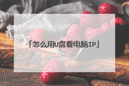 怎么用U盘看电脑IP