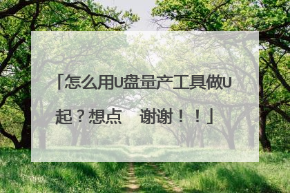 怎么用U盘量产工具做U起?想点 谢谢!!