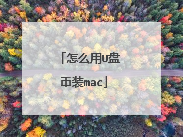 怎么用U盘重装mac