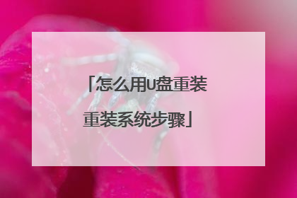 怎么用U盘重装重装系统步骤