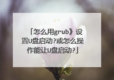 怎么用grub》设置U盘启动?或怎么操作能让U盘启动?