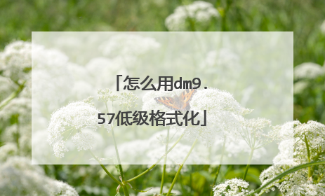 怎么用dm9.57低级格式化