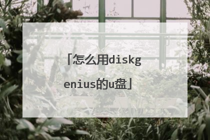 怎么用diskgenius的u盘