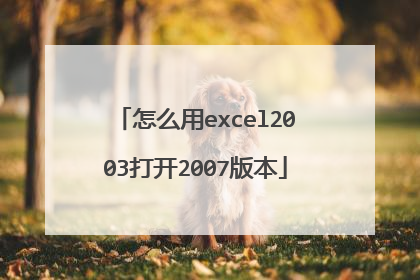 怎么用excel2003打开2007版本