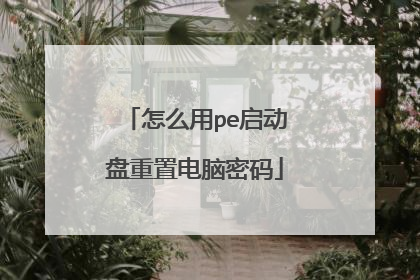 怎么用pe启动盘重置电脑密码