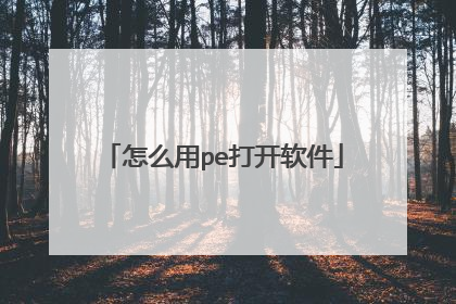 怎么用pe打开软件