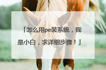 怎么用pe装系统,我是小白,求详细步骤!