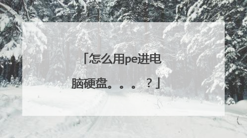 怎么用pe进电脑硬盘。。。?