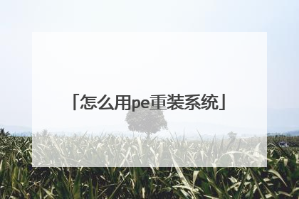 怎么用pe重装系统