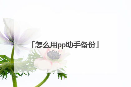 怎么用pp助手备份
