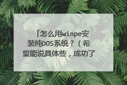 怎么用winpe安装纯DOS系统?(希望能说具体些,成功了再加50分)