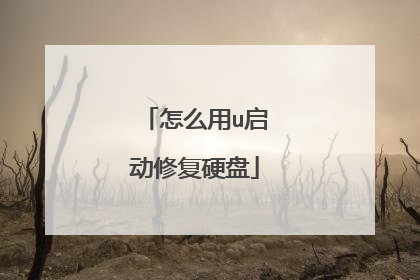 怎么用u启动修复硬盘