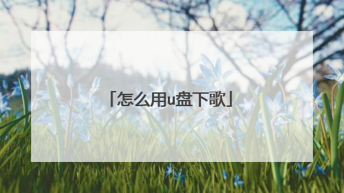 怎么用u盘下歌
