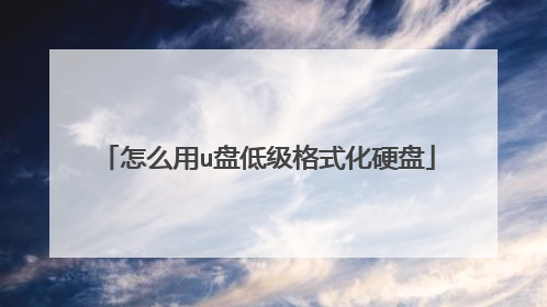 怎么用u盘低级格式化硬盘