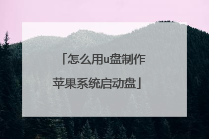 怎么用u盘制作苹果系统启动盘