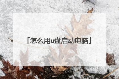 怎么用u盘启动电脑