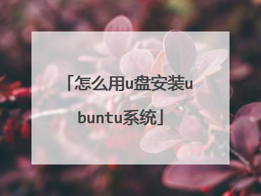 怎么用u盘安装ubuntu系统