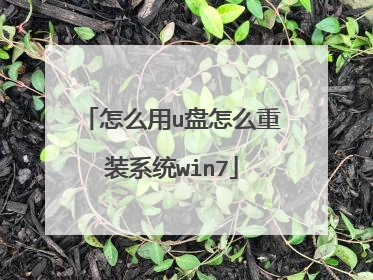 怎么用u盘怎么重装系统win7