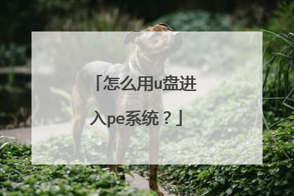 怎么用u盘进入pe系统?