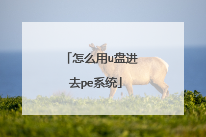 怎么用u盘进去pe系统