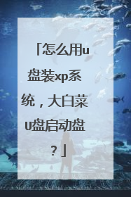 怎么用u盘装xp系统，大白菜U盘启动盘？