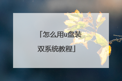怎么用u盘装双系统教程