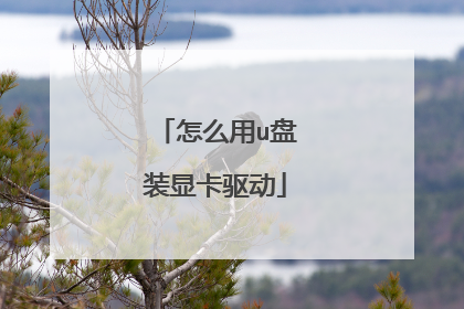 怎么用u盘装显卡驱动