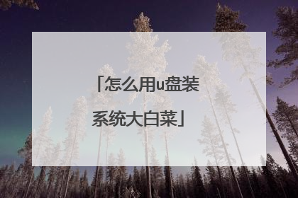 怎么用u盘装系统大白菜