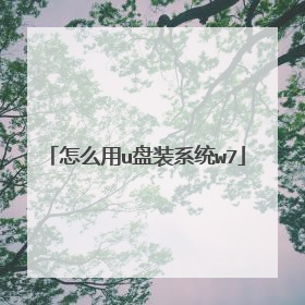 怎么用u盘装系统w7