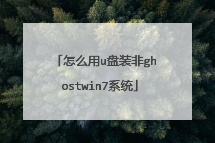 怎么用u盘装非ghostwin7系统