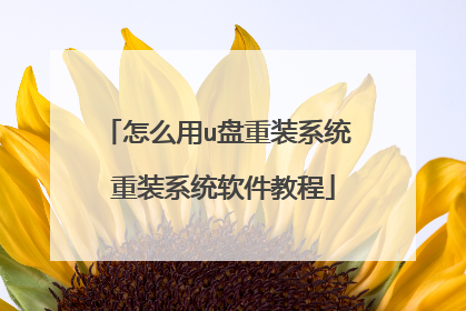 怎么用u盘重装系统 重装系统软件教程