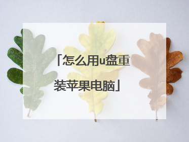 怎么用u盘重装苹果电脑